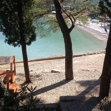 Apartment Biserka Cavtat Ruang foto