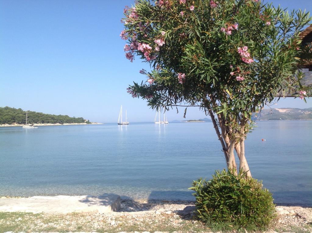 Apartment Biserka Cavtat Ruang foto