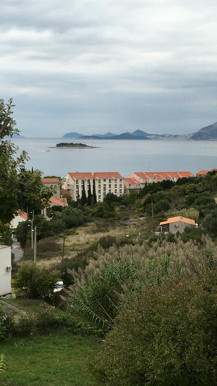 Apartment Biserka Cavtat Bagian luar foto